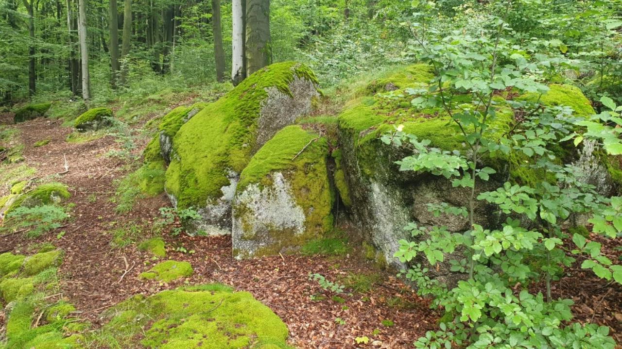 فيلا Omszale Glazy Mossy Rocks Moosige Felsen Zachelmie  المظهر الخارجي الصورة